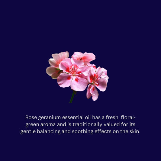 Rose Geranium
